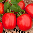 Томат Коррида