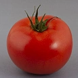 Томат Радостный